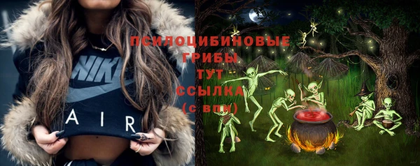 apvp Кукмор