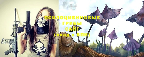 apvp Кукмор